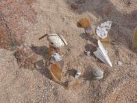 Italien, Sardinien, Strandwanderung Costa Smeralda