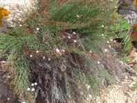 Italien, Sardinien, Strandwanderung Costa Smeralda