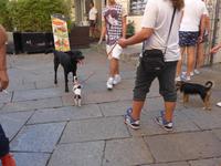 Italien, Sardinien, Maddalena