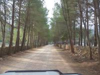 Italien, Sardinien, Lanaittu Tal