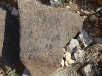 Italien, Sardinien, Lanaittu Tal, Nuraghendorf Carros, Echse