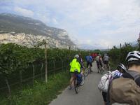 1. Tag Riva del Garda - In den Weinbergen (1)