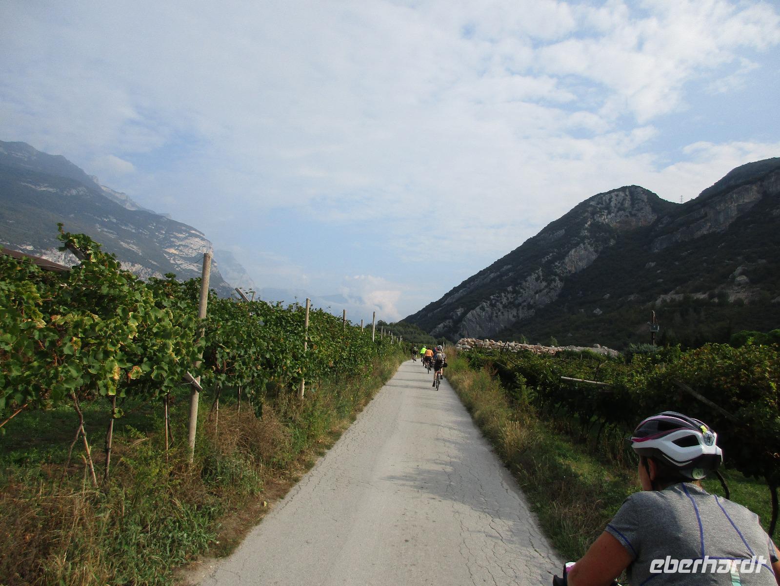 1. Tag Riva del Garda - In den Weinbergen (2)