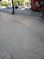 2.Tag Verona - Ein Fossil im au dem Fußweg