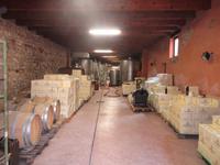 3. Tag - Kellerei in Soave (1)