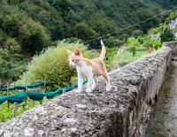 Wanderung im Mühlental
