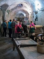 Besuch des Papiermuseums