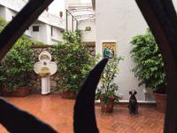 Capri - schöne Innenhöfe