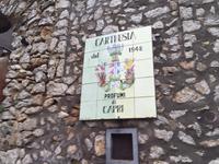 Capri - Parfumerie Carthusia