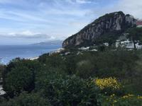 Capri - Blick auf Marina Grande