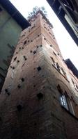 Lucka, Stadtführung mit Nada,Torre Guinigi