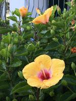 Foto 12.10.16, 17 34 52