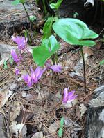 Foto 13.10.16, 11 13 00