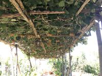 Foto 13.10.16, 12 56 17