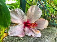 Foto 15.10.16, 12 58 40