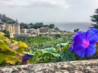 Foto 15.10.16, 13 00 36