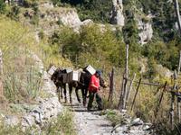 Wanderung auf dem Götterweg