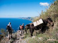 Wanderung auf dem Götterweg