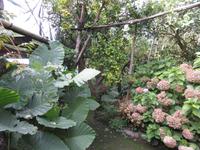 Im Bauerngarten von Le Colline