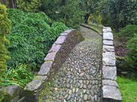 Alte Brücke im Park