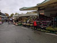 Blumen in Hülle und Fülle.