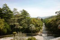 13.05.2015 Elba