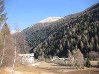 Auf der Neujahrswanderung 