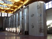 Führung in der Distilleria Marzadro