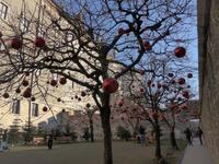 Trento - Castello Buonconsiglio