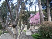 Nichtkatholischer Friedhof in Rom
