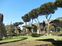 Vatikanische Gärten Rom