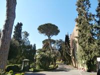 Vatikanische Gärten Rom