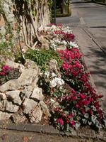 Vatikanische Gärten Rom