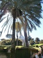 Vatikanische Gärten Rom