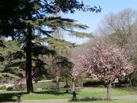 Park Villa Borghese