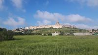 111 Valletta (Malta) - Inselrundfahrt (Mdina)