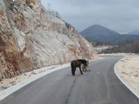 Kotor - Ausflug ins Gebirge