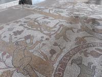 Otranto - Mosaikboden in der Kathdrale