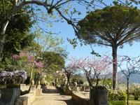 Ravello Villa Cimbrone 5