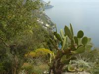 Sentiero degli Dei 2