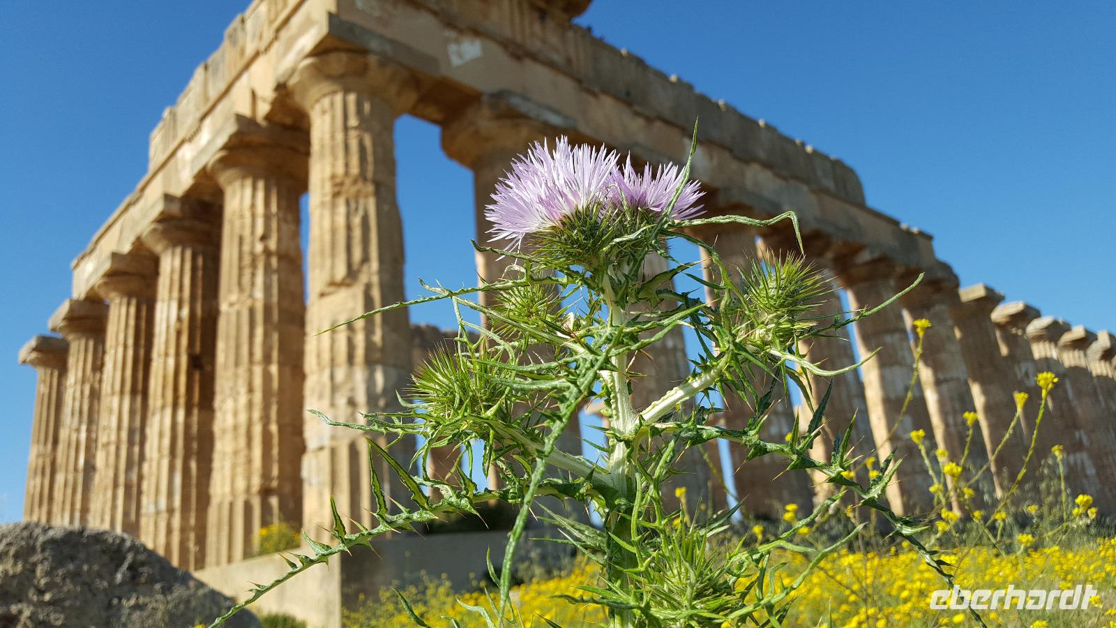 Selinunte-archäologischer Park