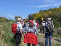 Italien, Wanderung Santa Maria - Agropoli