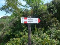 Italien, Wanderung Santa Maria - Agropoli, Umweg