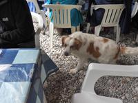 Italien, Pozzolla Bucht, Piccolo