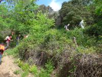 Italien, Wanderung Marina di Camerote