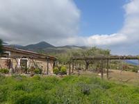 Italien, Wanderung Marina di Camerote