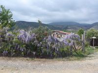Italien, Wanderung Marina di Camerote