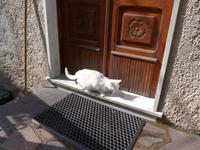 Italien, Magliano Nuovo