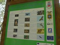 Italien, Magliano Nuovo, Calore Schlucht