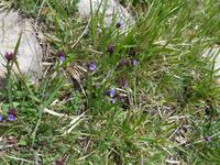 Italien, Wanderung zum Monte Stella